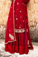 Kashmir Inspired Bridal Sharara