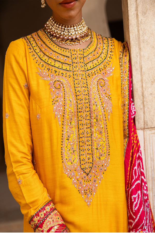 Haldi Bliss Sharara Set