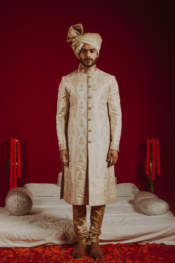 Regal Reverie Sherwani