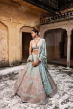 Pure Organza Lehenga